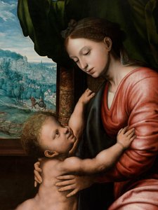 Virgin with Child (detail) by Jan van Hemessen