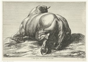 Dead Horse Seen from Behind