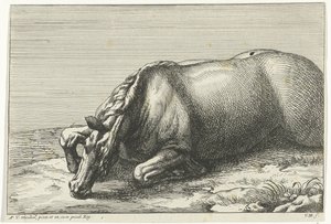 Fallen Horse on Its Left Side
