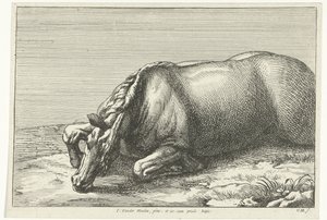 Fallen Horse Seen from the Left Side (Fallen Horses)