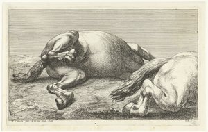 Two Fallen Horses, the Right One Seen from the Side