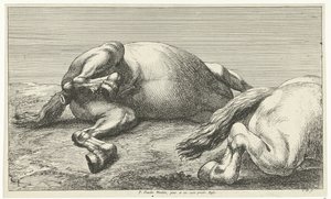 Two Fallen Horses, the Right One Seen from the Side Fallen Horses (series title)