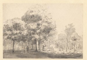 View of the Haarlemmerhout, Haarlem by Jan van Kessel (attributed to)