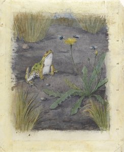 Frog by a Dandelion with Flies by Jan van Oort