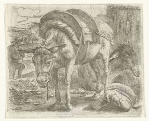 Pack Donkey by Jan van Ossenbeeck