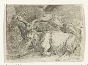 Two Goats and Two Sheep