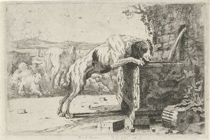 Dog by a Fountain
