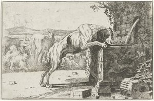 Dog by a Fountain (Animals series)