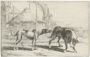 Male and Female Dog (series title: Animals) by Jan van den Hecke