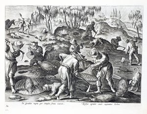 Digging Out and Capturing Porcupines, plate 54, illustration from 