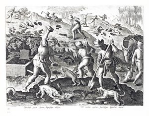 Digging out and capturing Badgers, illustration from 
