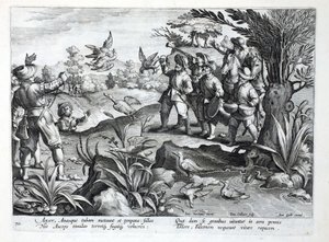 Hunters using Falcons to hunt Geese, illustration from 