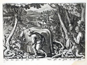 Hunting for Starlings and Partridge, Illustration from 