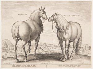 A Roman Horse, from the First Set of 