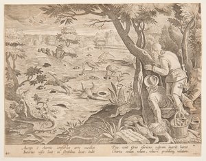 Crane Hunt using Cones (Plate 28 in the Venationes Ferarum, Avium, Piscium Series)