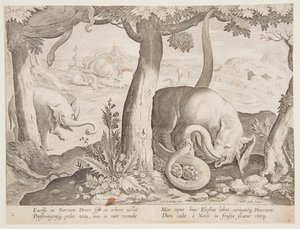 Fight between Elephants and Snakes, Plate 2 from the Venationes Ferarum, Avium, Piscium Series by Jan van der Straet, called Stradanus