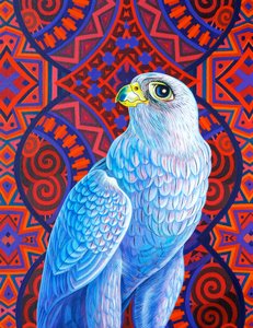 Grey Falcon