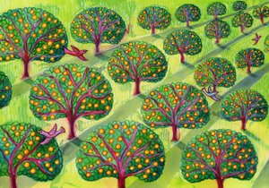 Orchard by Jane Tattersfield