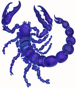 Scorpio by Jane Tattersfield