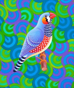 Zebra Finch, 2023