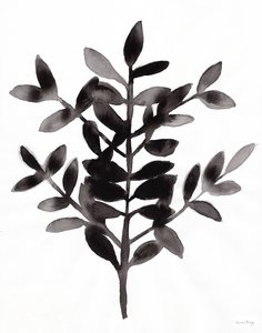 Botanical with Nagi Fern III
