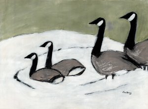 Canada Geese on David