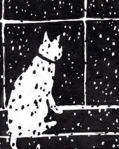 Cat in Window During Snow Storm, c.2019 by Janel Bragg