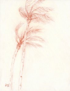 Once Upon a Tropical Vacation Palm Trees by Janel Bragg