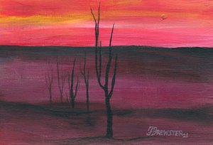 Vibrant Desert Sunset by Janine Brewster