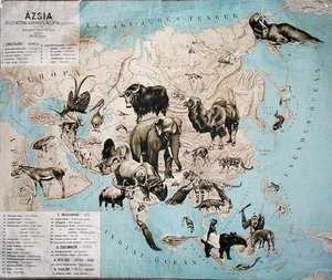 Map of animals in Asia & the Far East by Janos Balint