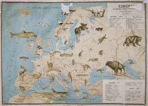 Map of Animals in Europe