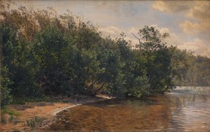 Elder Bushes by Almind Lake