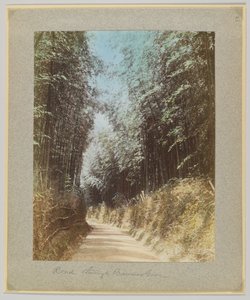 Road through a bamboo grove, Japan by Japanese Photographer
