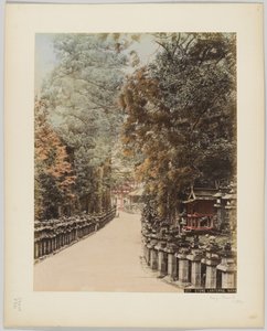 Stone Lanterns, Nara, Japan