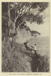 The White and Wooded Cliffs of Mississippi Bay
