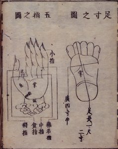 Diagram showing acupuncture points in the hands and feet, from a Japanese commentary of a Chinese work on acupuncture, the Shisijing fahui of 1341 by Hua Shou, Kyoto by Japanese School