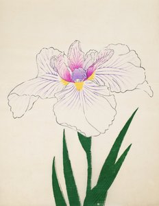 Akashi-no-Ul, no.10, 1898