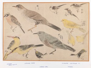 Birds in Okyo Style