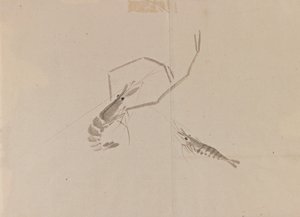 Drawing of two crayfish by Japanese School