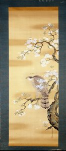 Falcon on a branch of Japanese cherry blossom. Silk painting from the 18th century of Japan. Genoa. Museo Chiossone. by Japanese School