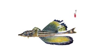 Gyotaku