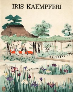 Iris Kaempferi - Front Cover by Japanese School