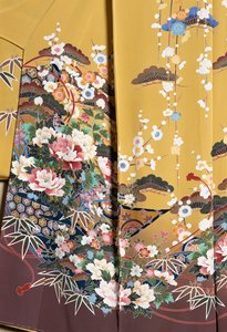 Kimono Furisode worn by young unmarried women on elegant occasions and Maiko, Smooth silk, floral motifs, floating ribbons, Kaga-Yuzen dyeing, Tokamachi weaving mills, Japanese civilization, 20th century