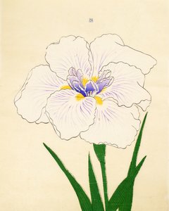 Manu-Zuru, No. 28, 1890