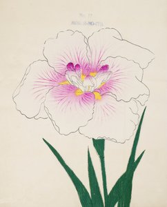 Misuji-no-Ito, no.17, 1898