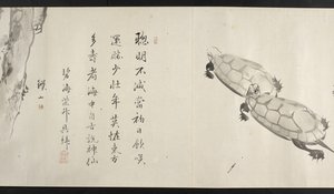 Two tortoises, from Yoshida Seisai by Japanese School