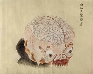 The anatomy of the brain from the dissection of a torture victim of 1796, from a makimono of a Midori doctor, 1842 by Japanese School