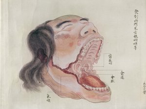 The anatomy of the mouth, from the dissection of a torture victim of 1796, from a makimono of a Midori doctor, 1842