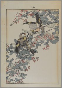 Two Birds with Pink Flowers, Meiji Period, c.1868-1912