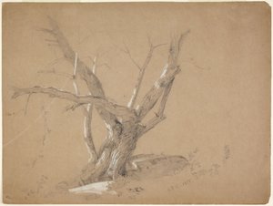 Study of a Tree by Jasper Francis Cropsey